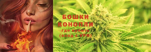 Альфа ПВП Заволжье
