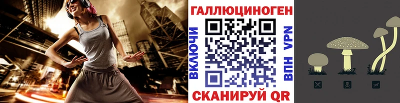 Галлюциногенные грибы Psilocybe  кракен как войти  Нязепетровск 